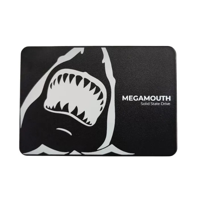 SSD SSTC M110 Sata III 512G (Ms-M110-512T)